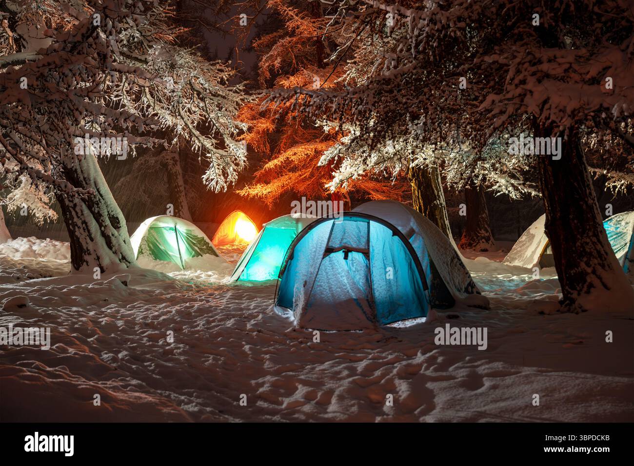 Campo turistico innevato con tende evidenziate sotto grandi pini di notte Foto Stock