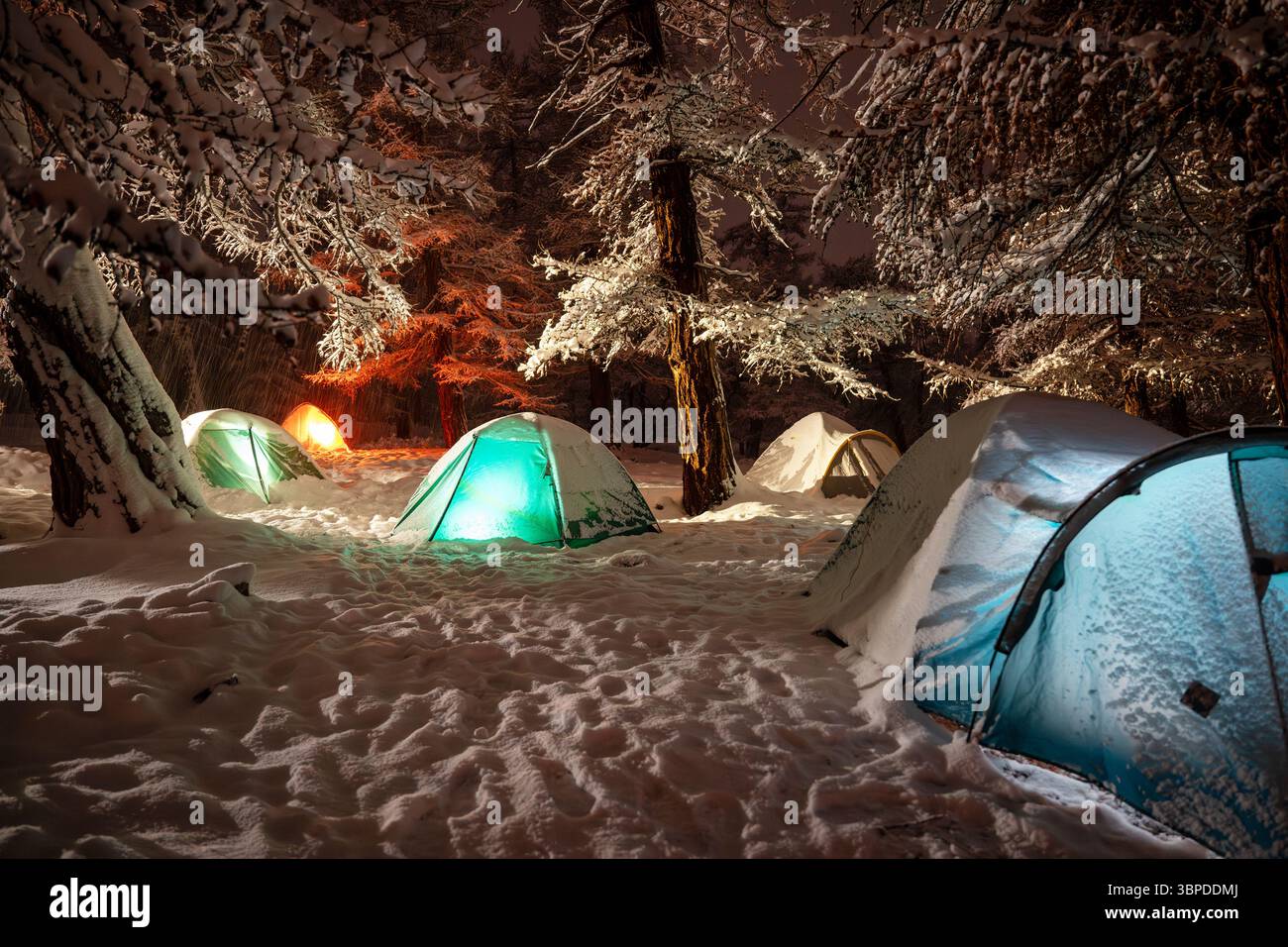 Foto ravvicinata del campo turistico innevato con tende illuminate sotto grandi pini Foto Stock