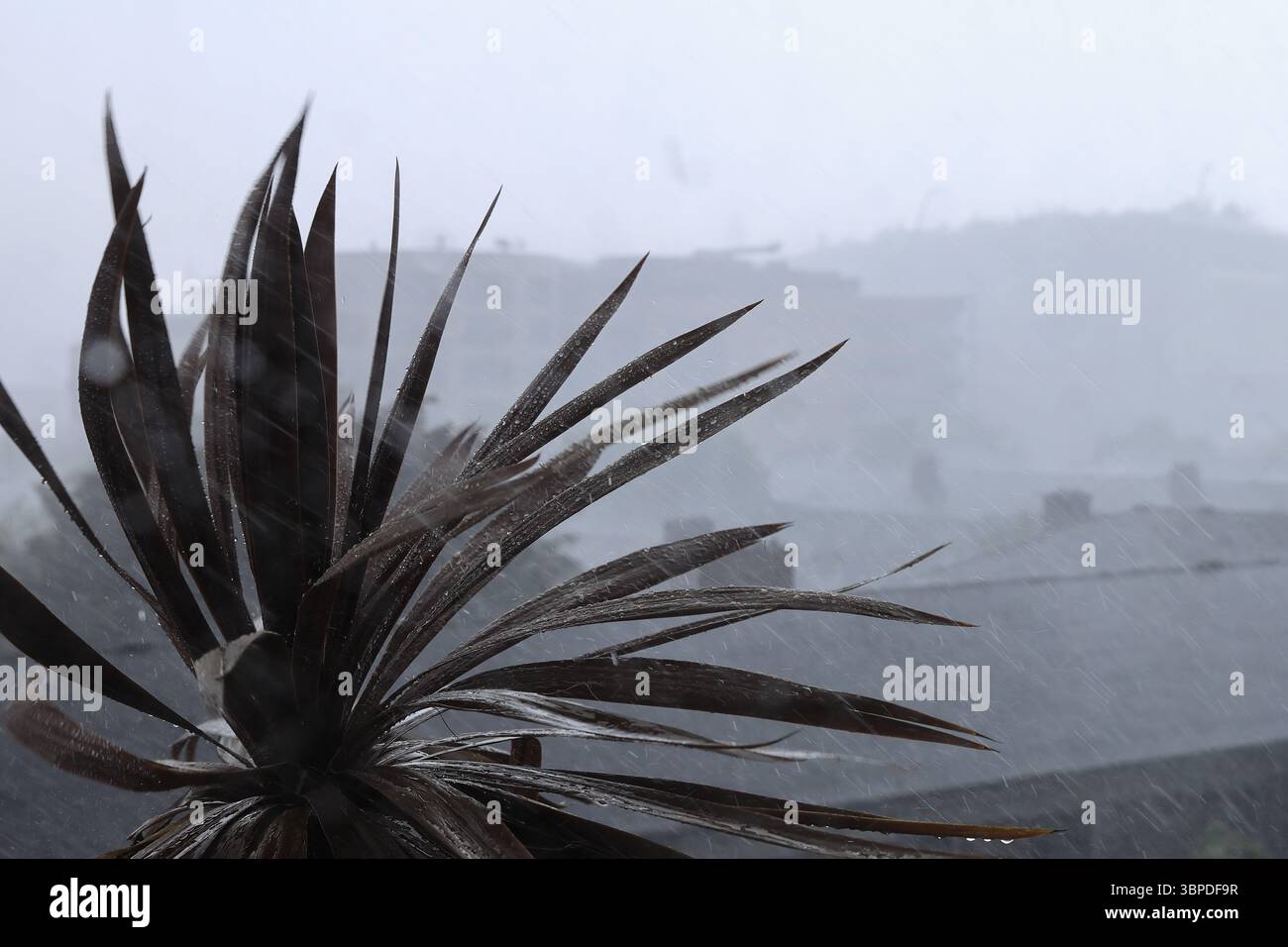 Forti venti e pioggia su un balcone di Londra, con l'aumento delle condizioni meteorologiche estreme, Regno Unito Foto Stock