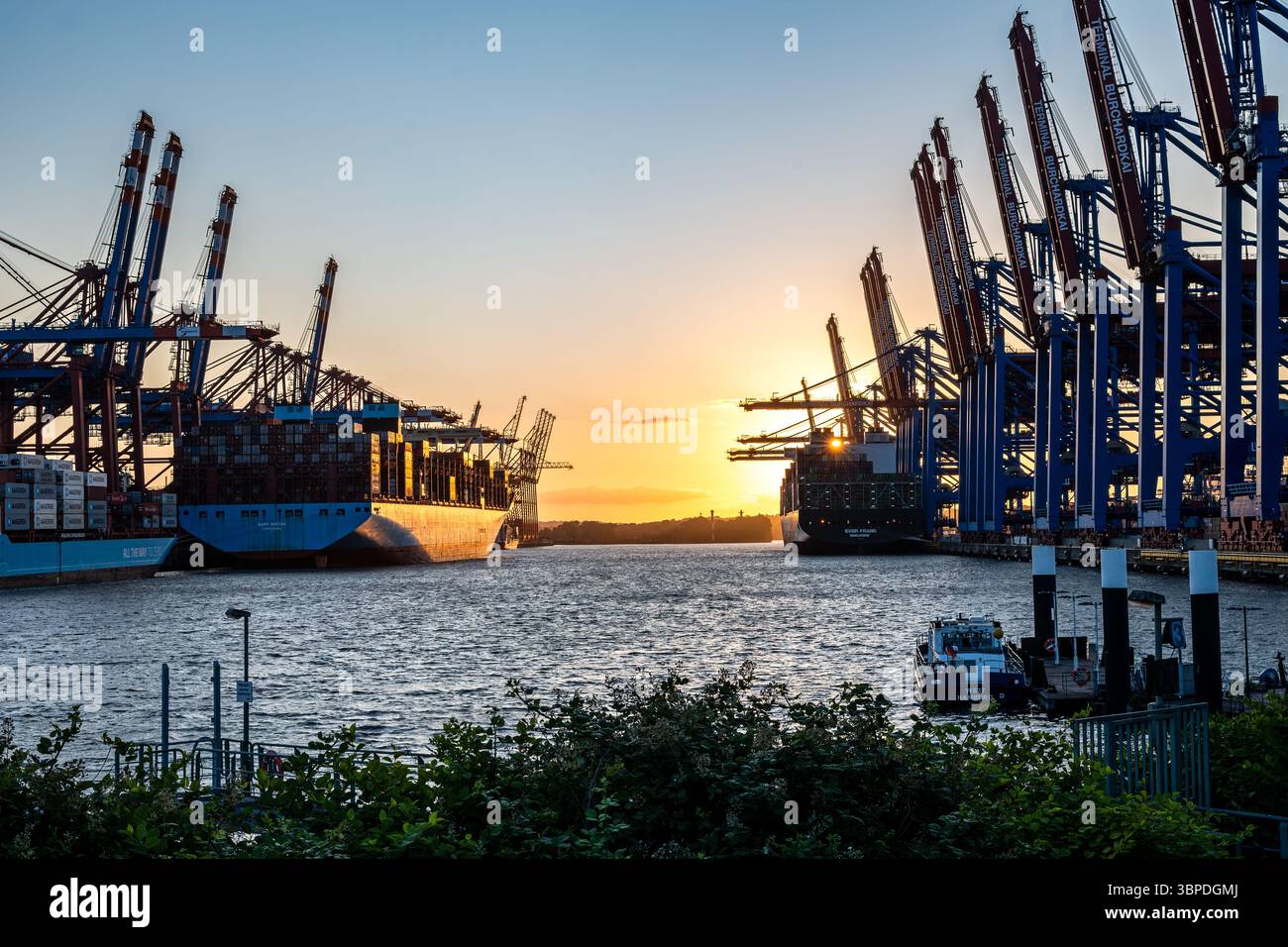 Navi portacontainer che scaricano al terminal container di Amburgo Waltershof al tramonto Foto Stock
