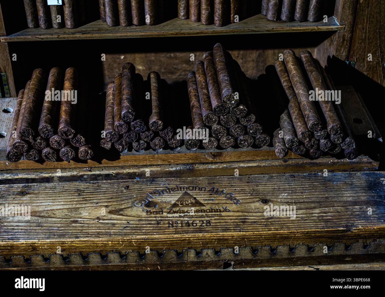 Sigari nella stanza umida con umidità e temperatura costanti al James J Fox, il più antico negozio di sigari di Londra, Inghilterra, Regno Unito Foto Stock