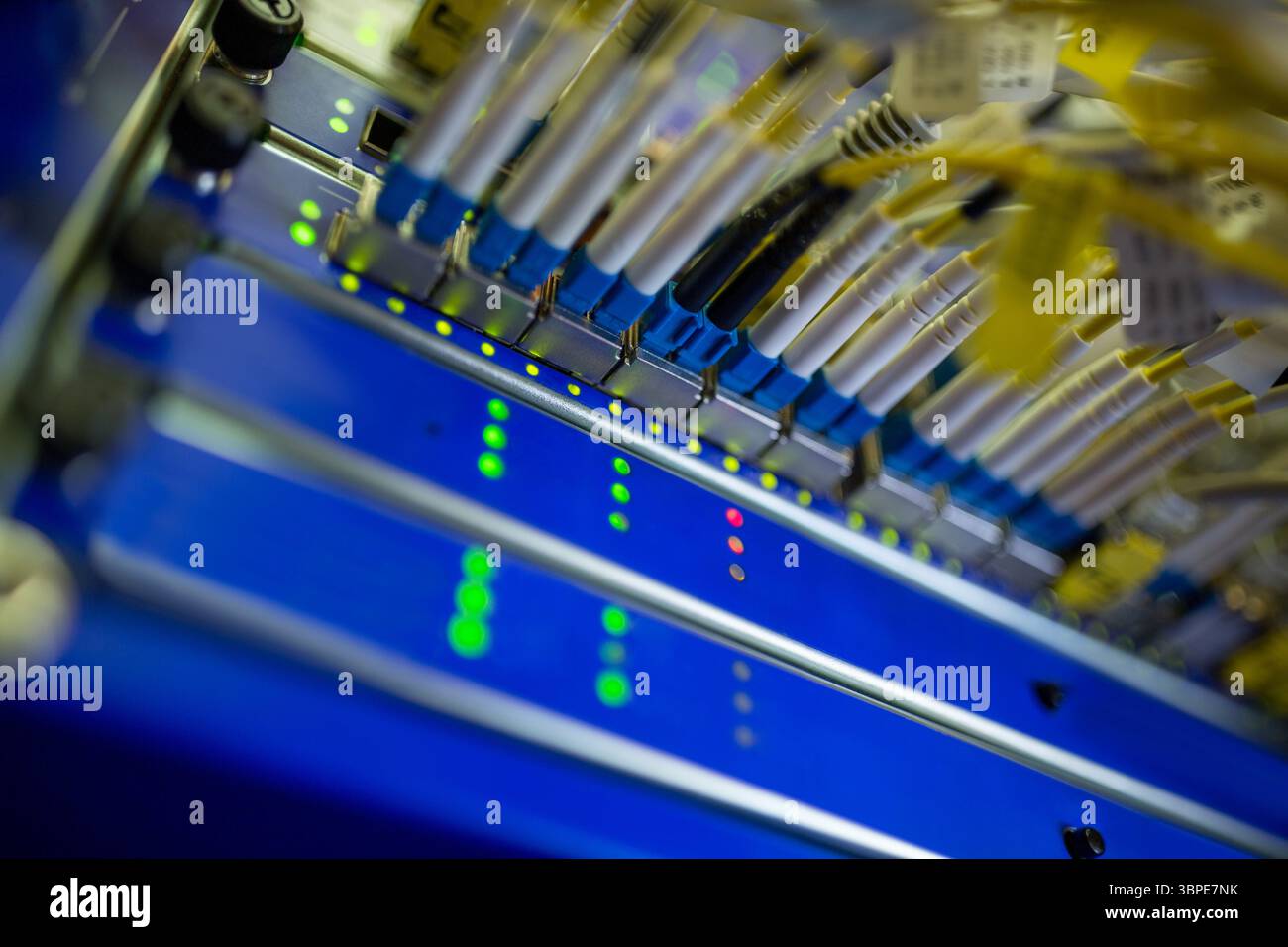 Il patch panel in fibra ottica montato su rack viene mostrato in stile piatto con cavi blu gialli e LED luminosi Foto Stock