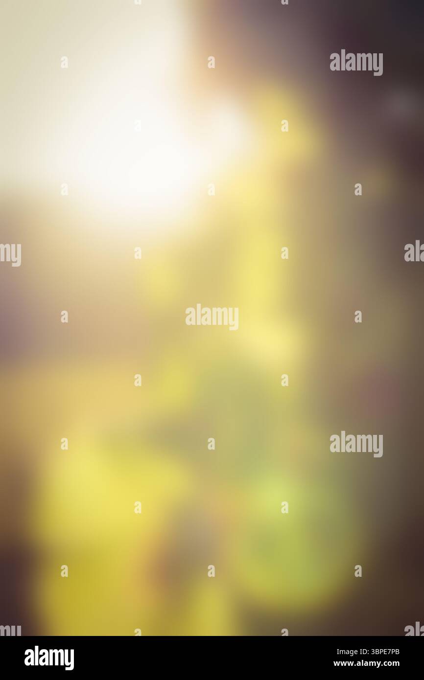 Sfocato di alberi autunnali in una giornata di sole Foto Stock