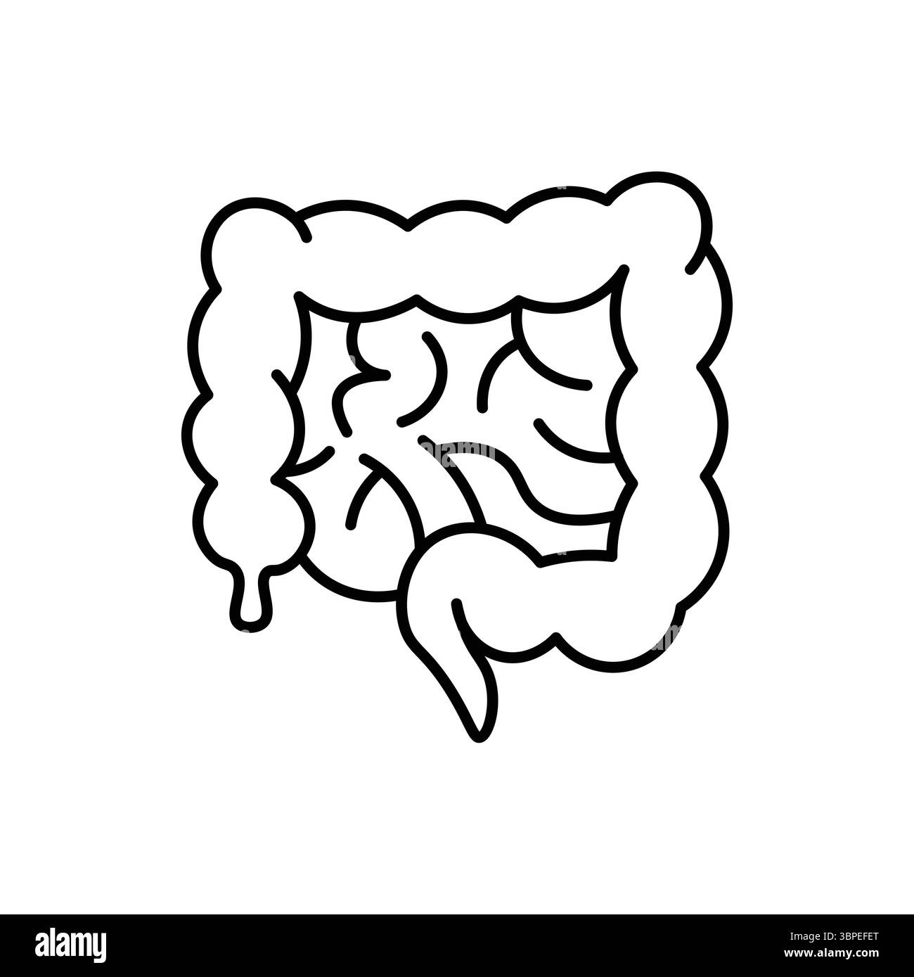 Illustrazione minimalista dell'intestino umano, perfetta per progetti sanitari e medici. Illustrazione Vettoriale