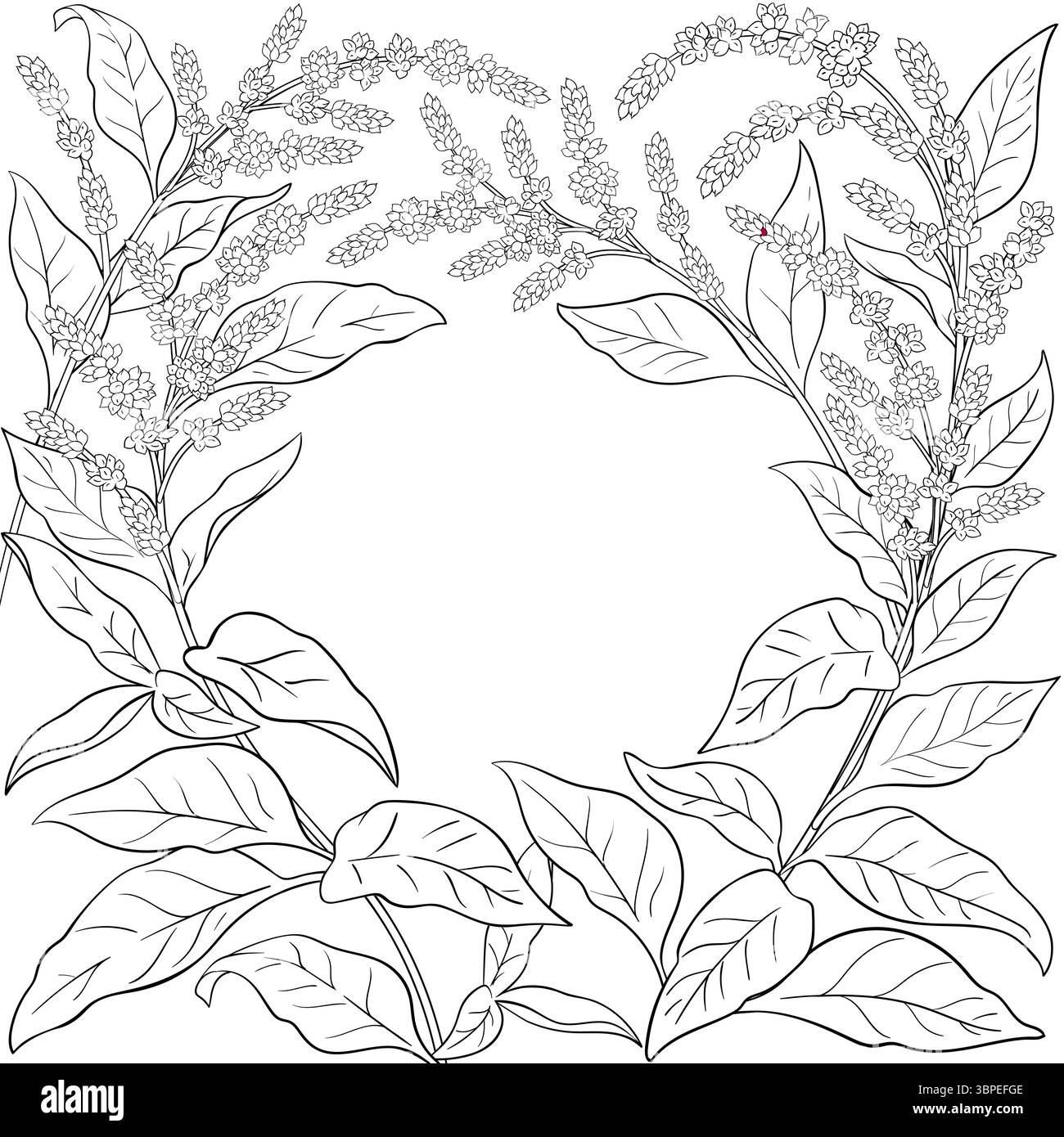 Ramificazione Amaranth con cornice profilo fiori. Illustrazione Vettoriale