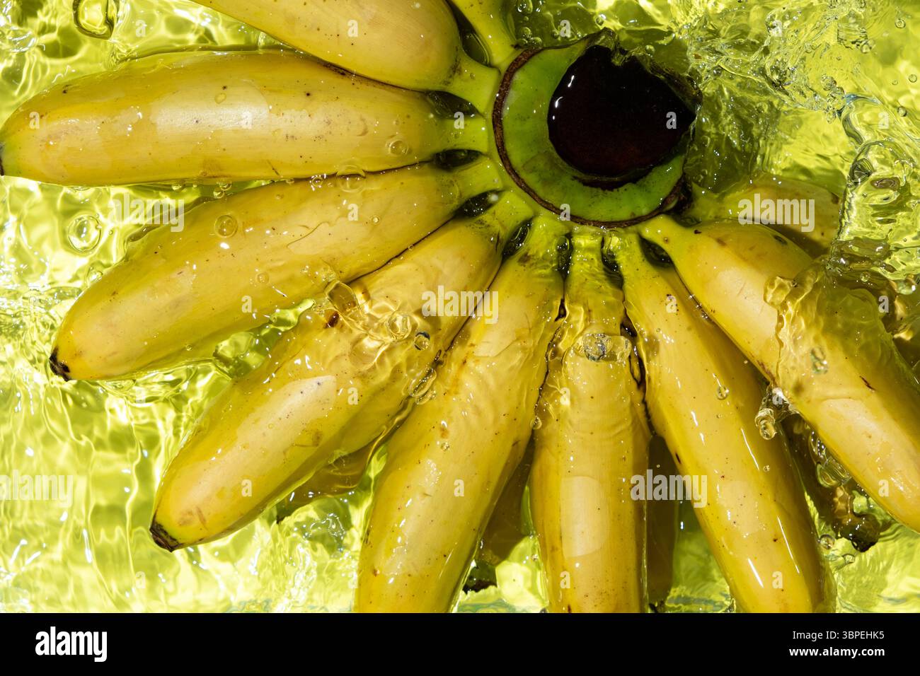 Un mucchio di mini banane in una vista dall'alto. Foto Stock