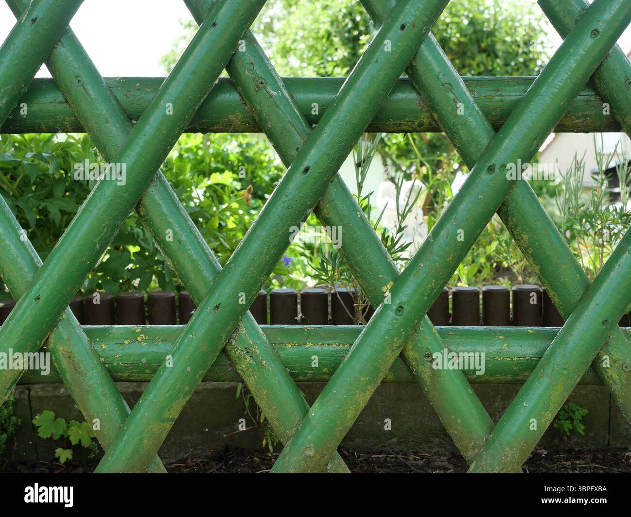 Vecchio recinto di picchetto dipinto di verde che racchiude un giardino. Legno rustico con patina. Ideale come sfondo. Copyspace. Foto Stock