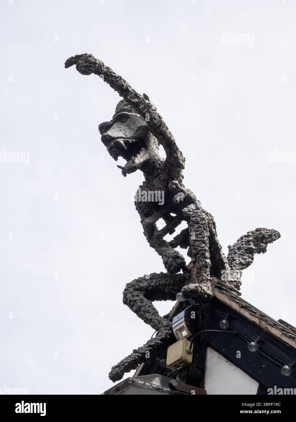 Un'opera di volpe sul Fox Pub di Oswestry, Powys, Galles Foto Stock