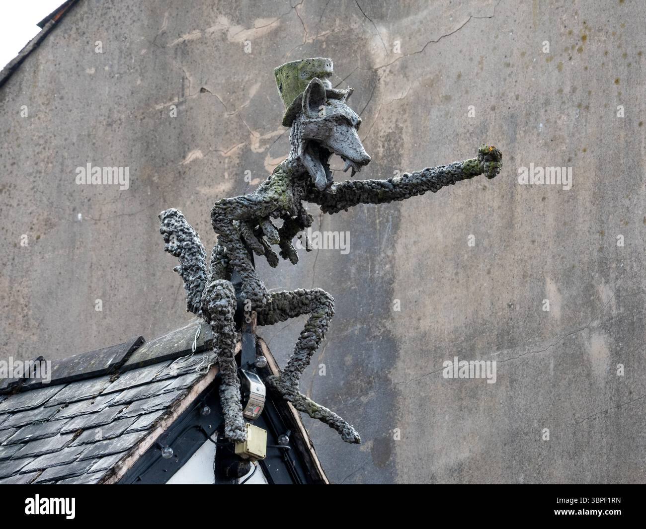 Un'opera di volpe sul Fox Pub di Oswestry, Powys, Galles Foto Stock