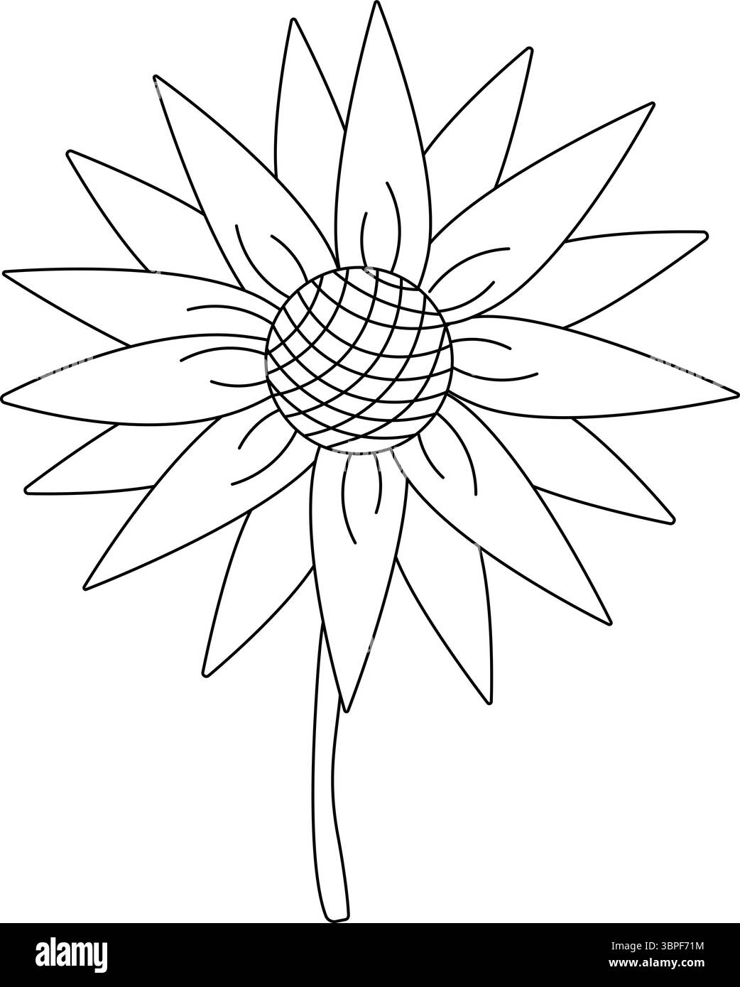 Corsa modificabile girasole isolata. Illustrazione della linea grafica vettoriale. Perfetto per carte, decorazioni, adesivi, logo, menu, vari design. poster, f Illustrazione Vettoriale
