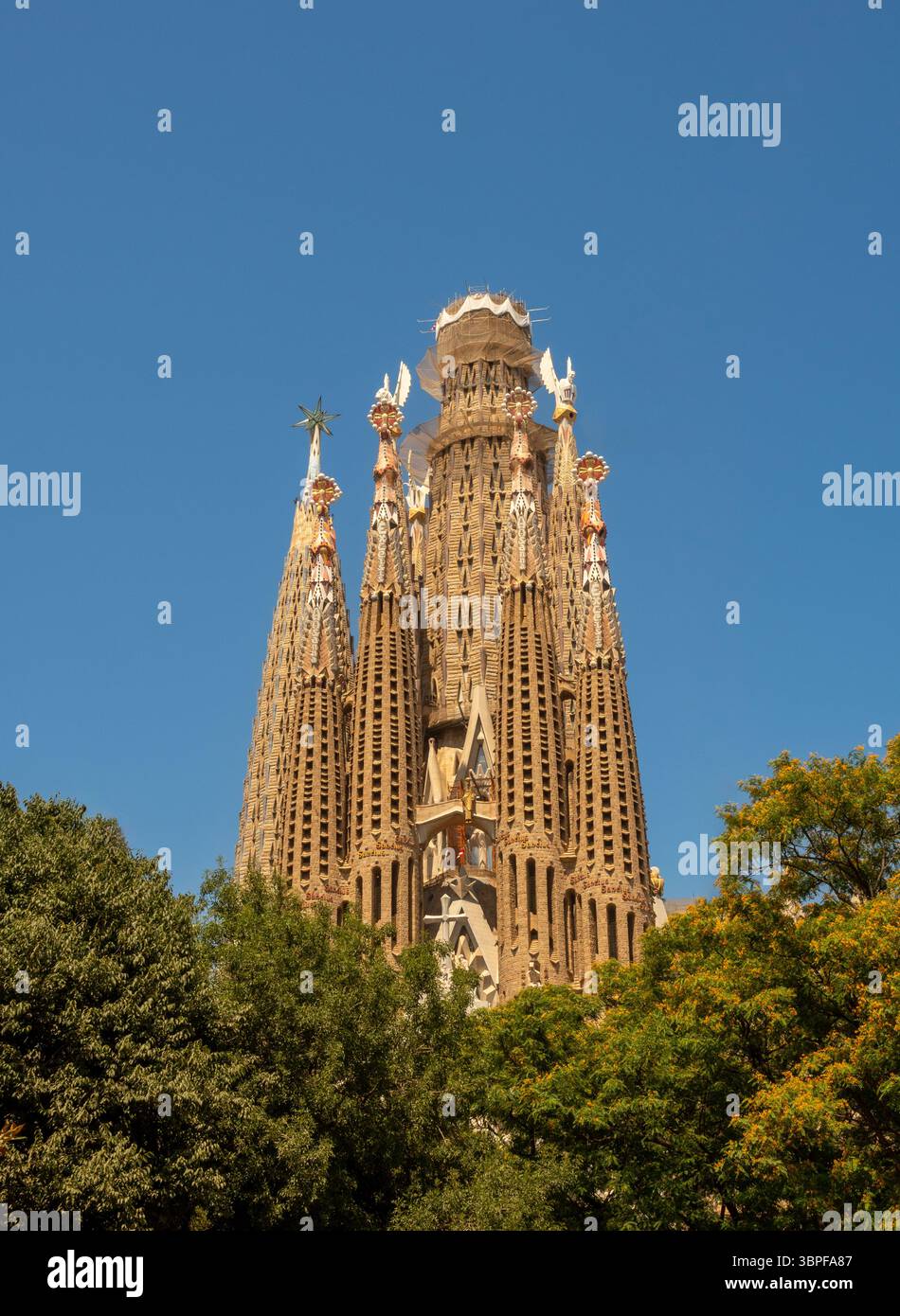 Le guglie ornate della Sagrada Familia, progettate da Antoni Gaudí, che si innalzano sopra le cime degli alberi di Barcellona, viste contro un cielo blu Foto Stock