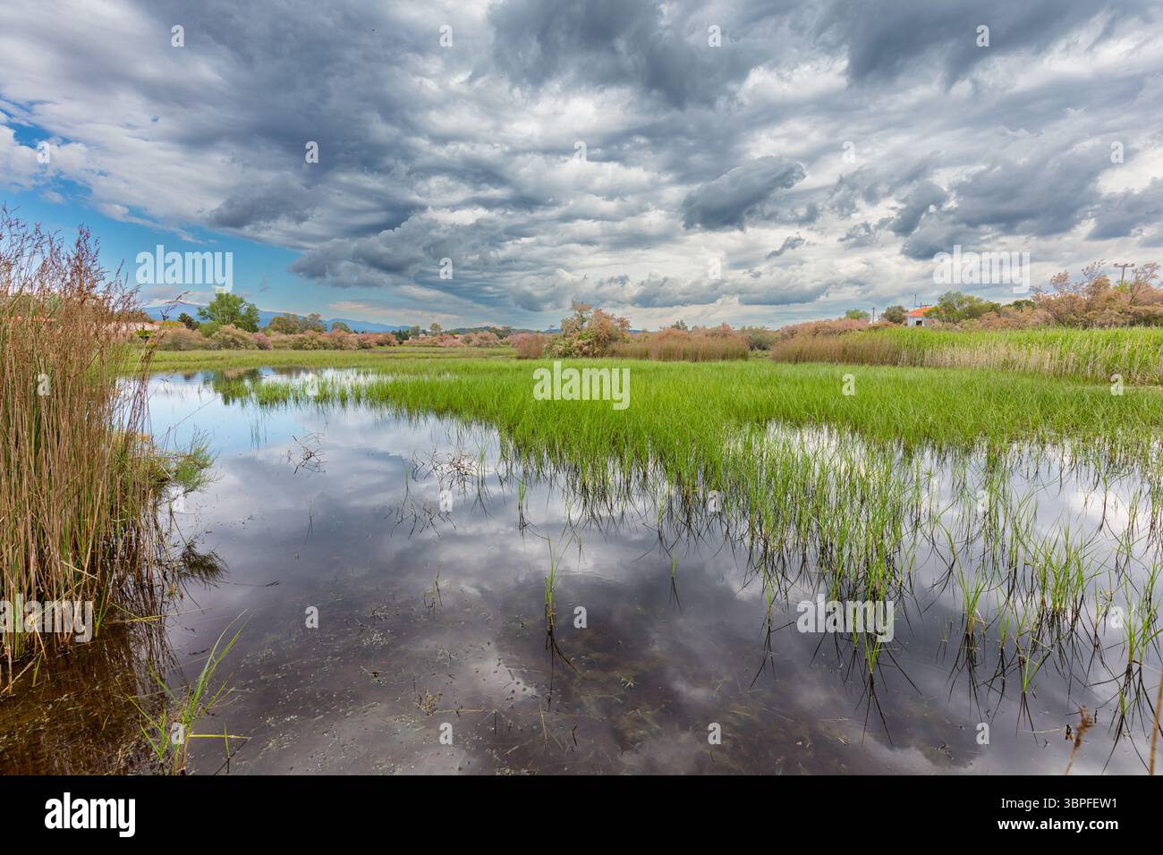 Paesaggio Grecia, isola di Lesbo, tempesta, atmosfera di tempesta, canne, biotopo, acque, natura, Foto Stock