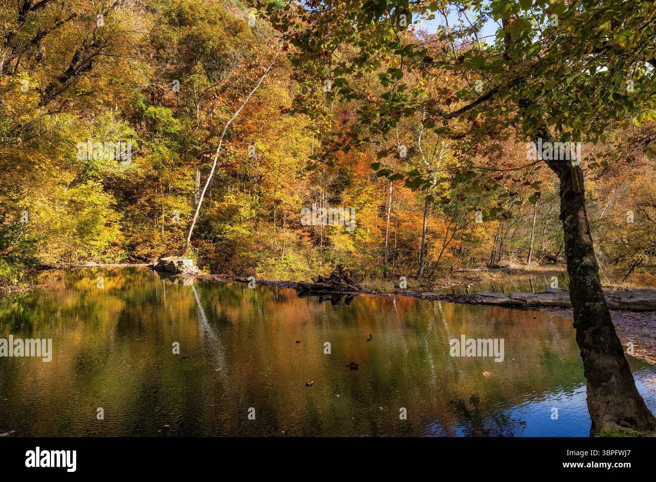 Le foglie autunnali si riflettono nelle acque tranquille di Big Creek, nel sito storico di Amis Mill a Rogersville, Tennessee, Stati Uniti. Foto Stock