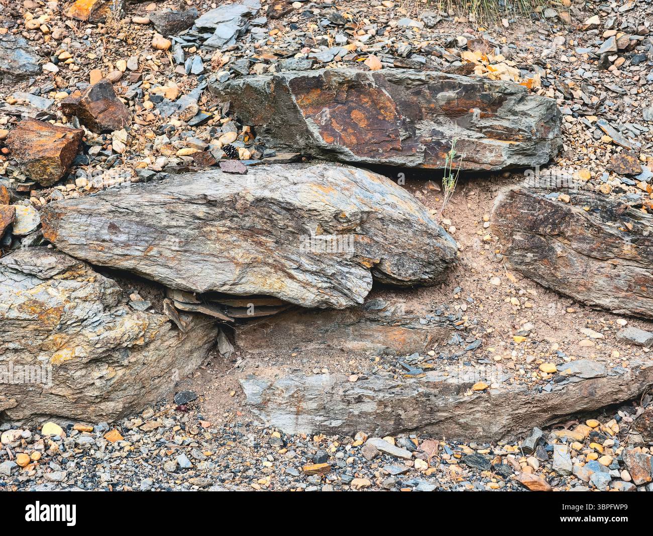 Texture Rock and Sandy Ground: Sfondo naturale ad alta risoluzione perfetto per sfondi, marketing ecologico, arredamento rustico e promozioni digitali - cattura la bellezza e la resilienza della terra Foto Stock