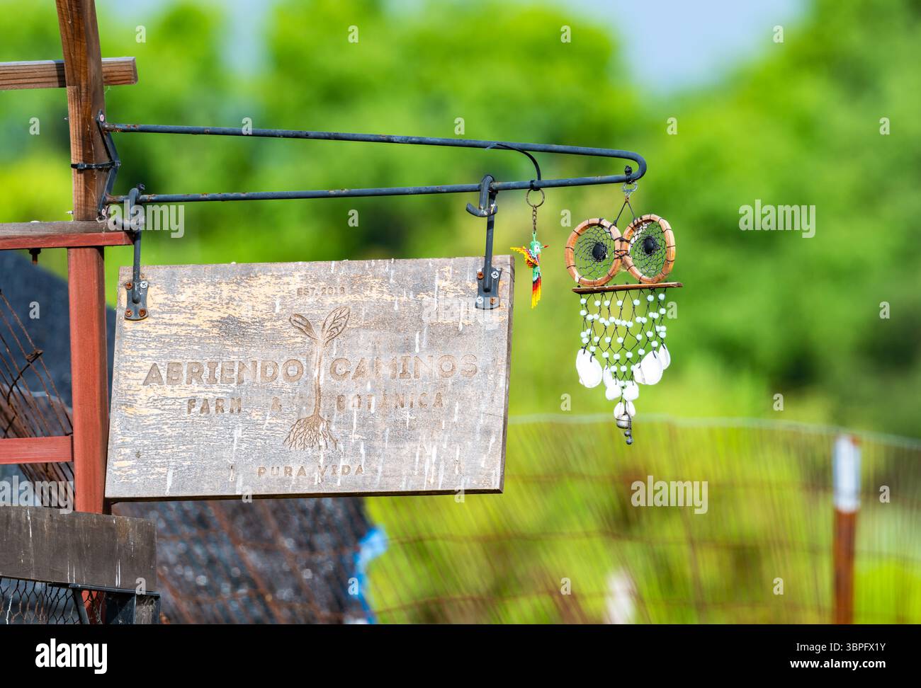 Una decorazione fatta a mano di un gufo carino su un appendiabiti vicino a un giardino. California, Stati Uniti. Foto Stock
