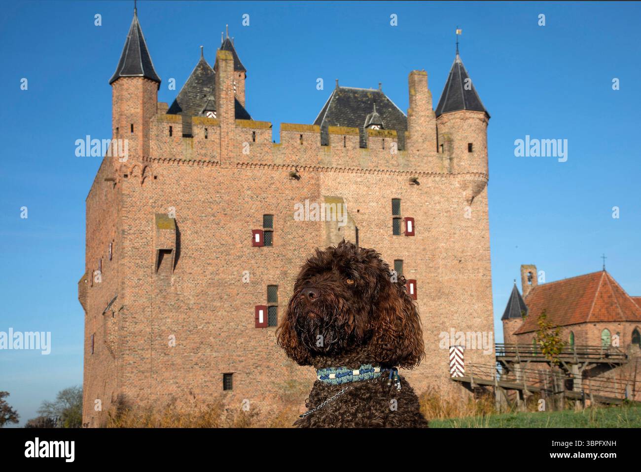 Paesi Bassi, castello di Doornenburg - sana vista degli occhi dove gli oggetti davanti e dietro sono taglienti. Quando ci sono oggetti distanti e lungimiranti Foto Stock