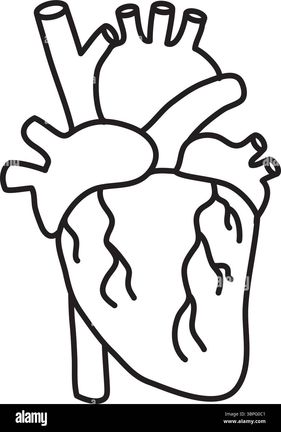 Disegno anatomico del contorno bianco e nero della biologia cardiaca Illustrazione Vettoriale