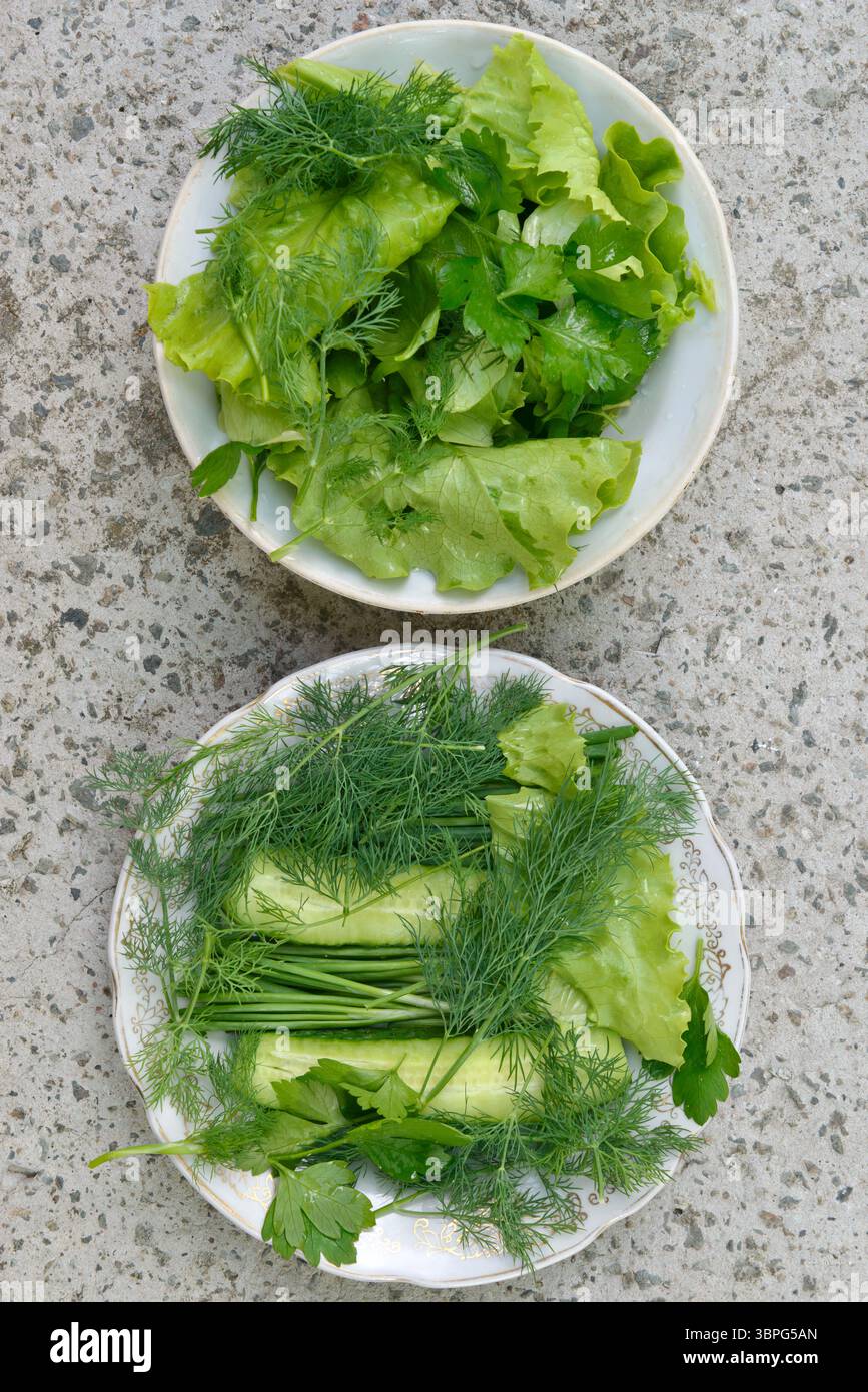 Vista dall'alto ravvicinata dei diversi verdi e cetrioli su due piatti longitudinalmente in due parti su due piatti. Foto Stock