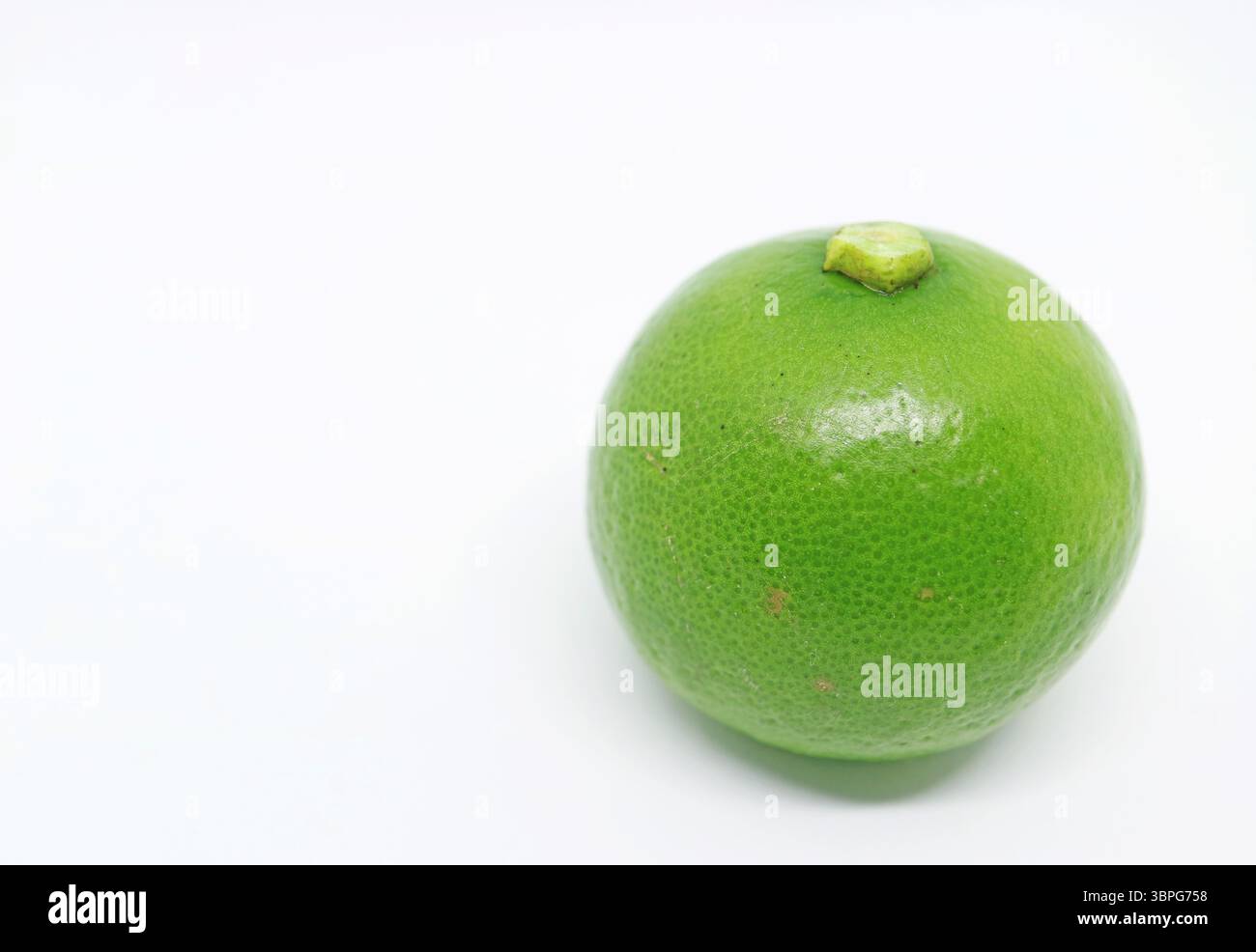 Primo piano di una vivace calce verde-occidentale isolata su sfondo bianco Foto Stock