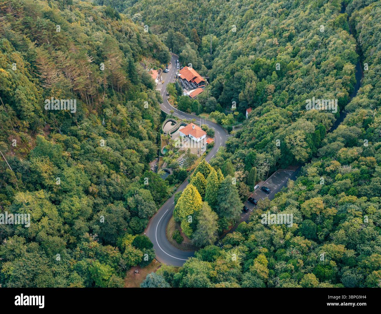 Vista aerea di una strada tortuosa che attraversa una fitta e verdeggiante foresta, case annidate tra gli alberi, creando una scena pittoresca, Ribeiro Frio, Madeira, Portogallo. Foto Stock