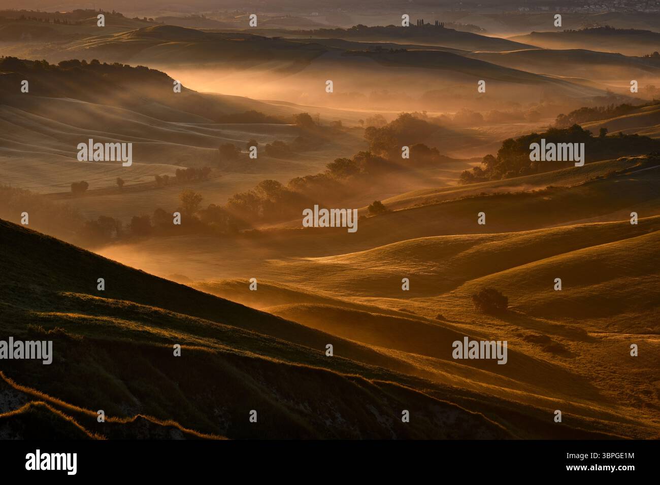 L'alba in Italia, l'onda del paesaggio in Toscana, vicino a Siana e Pienza, la mattina dell'alba in Italia. Vista idilliaca sul prato collinare in Toscana in bellezza Foto Stock