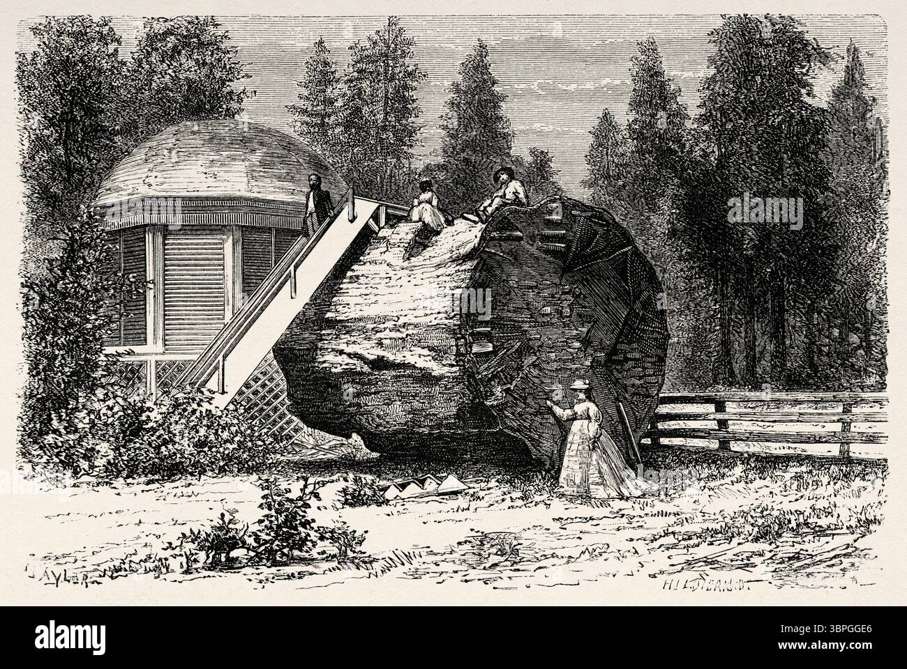 Casa costruita sul ceppo di un grande albero. Calaveras Big Trees State Park, Ebbetts Pass National Scenic Byway, California. Stati Uniti d'America. Disegno di Taylor. Viaggio da Washington a San Francisco, 1868 di Lambert Marius Laurent Louis Simonin (1830-1886) le Tour du Monde 1874 Foto Stock