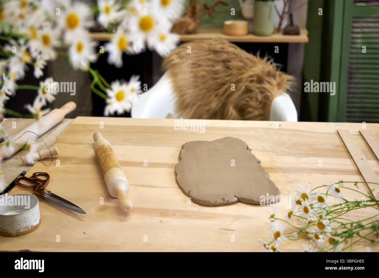 Allestimento dell'officina di argilla con argilla arrotolata, mattarello, attrezzi e fiori freschi di camomilla su un tavolo di legno. Atmosfera accogliente e materiali naturali Foto Stock