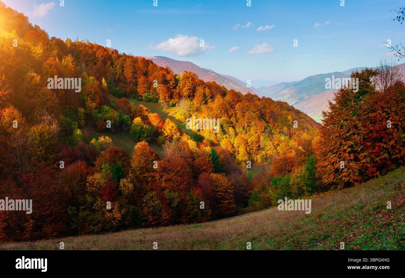 Splendida vista sulla valle autunnale della campagna. Luogo dei Carpazi, Ucraina, Europa. Sfondo stagionale. Foto Foto Stock