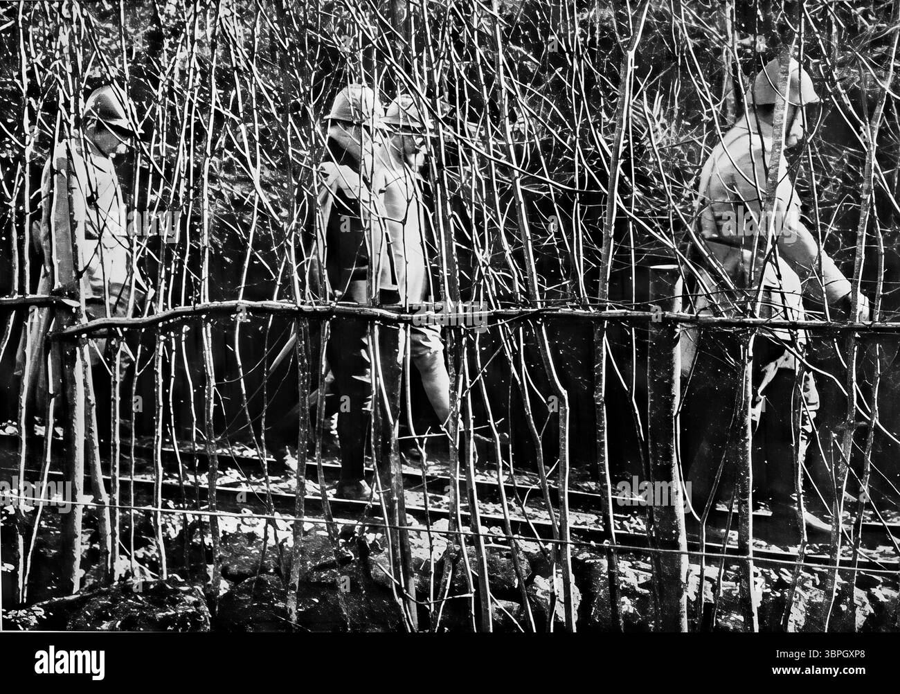 Il presidente francese Raymond Poincaré e il generale Roques ispezionano il fronte di Woevre durante la prima guerra mondiale, camminando lungo un percorso di rifornimento mimetico dietro le linee. La visita fu parte degli sforzi per rafforzare il morale all'inizio del 1916, nel mezzo di un'intensa guerra di trincea nei pressi di Verdun. Pubblicata su l'Illustration, questa immagine evidenzia lo stretto coordinamento tra leadership politica e militare nella zona di guerra. Foto Stock