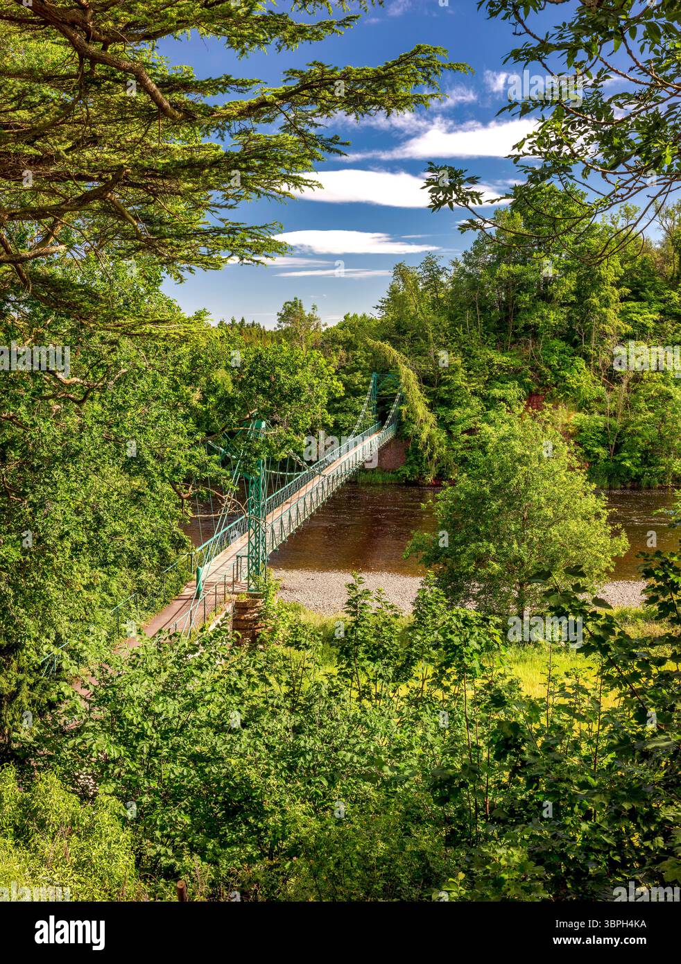 In estate, in una giornata di sole, potrai ammirare il ponte sospeso di Dryburgh sul fiume Tweed negli Scottish Borders, in Scozia Foto Stock