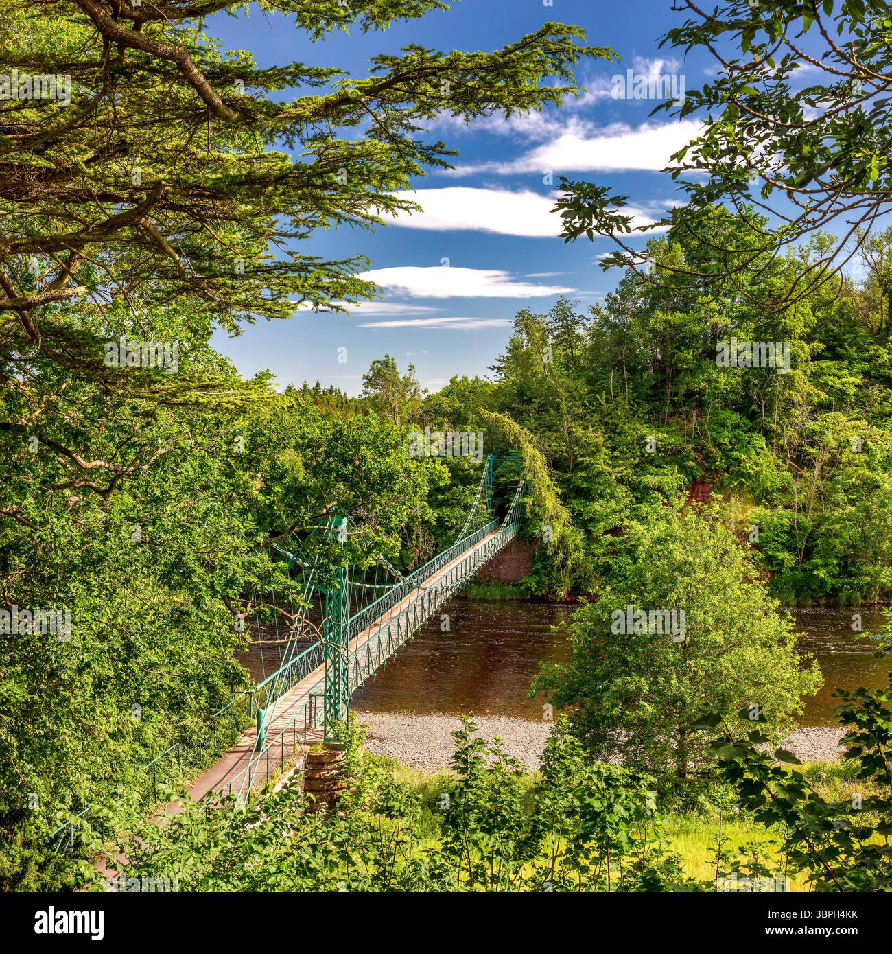 In estate, in una giornata di sole, potrai ammirare il ponte sospeso di Dryburgh sul fiume Tweed negli Scottish Borders, in Scozia Foto Stock