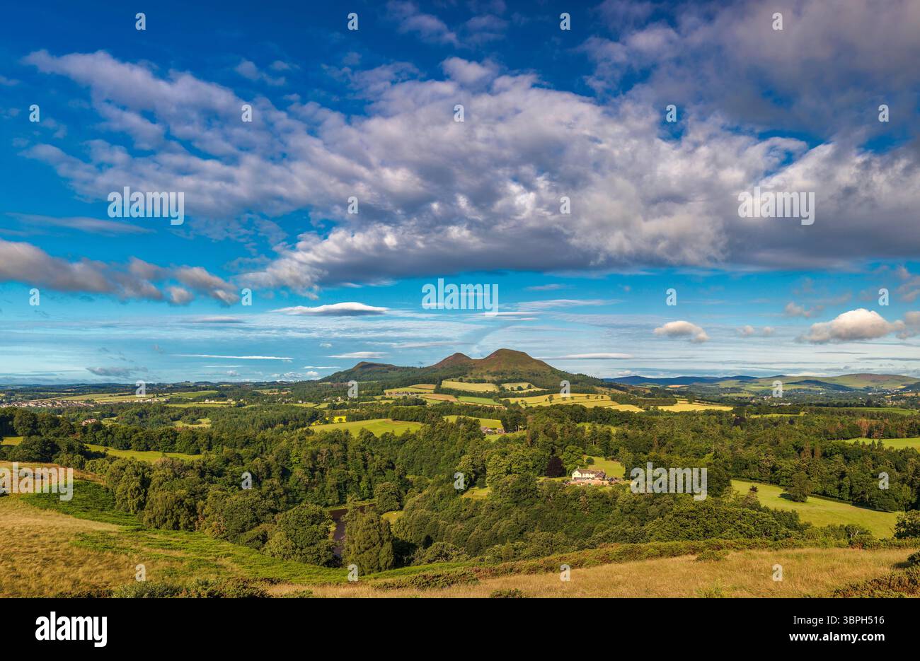 Una vista in una soleggiata giornata estiva che si affaccia su Scott's View e sulle Eildon Hills vicino a Melrose, negli Scottish Borders, Scozia, Regno Unito Foto Stock Una vista in una soleggiata giornata estiva che si affaccia su Scott's View e sulle Eildon Hills vicino a Melrose, negli Scottish Borders, Scozia, Regno Unito Foto Stock