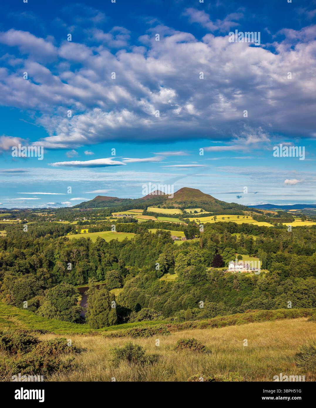 Una vista in una soleggiata giornata estiva che si affaccia su Scott's View e sulle Eildon Hills vicino a Melrose, negli Scottish Borders, Scozia, Regno Unito Foto Stock Una vista in una soleggiata giornata estiva che si affaccia su Scott's View e sulle Eildon Hills vicino a Melrose, negli Scottish Borders, Scozia, Regno Unito Foto Stock