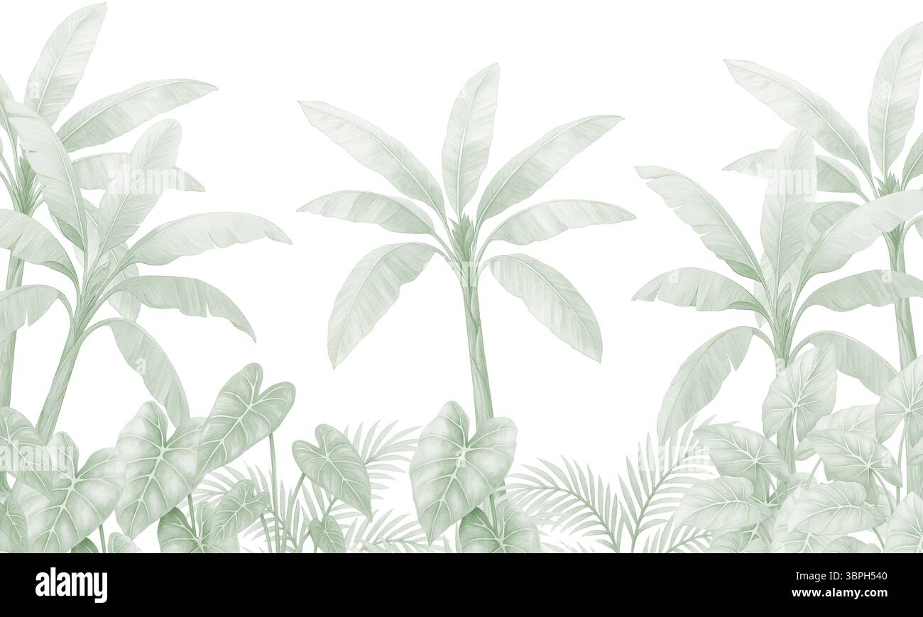 Morbida carta da parati tropicale verde con palme e vegetazione della giungla: Murale botanico Foto Stock