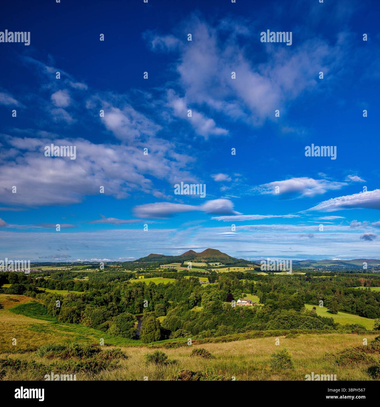 Una vista in una soleggiata giornata estiva che si affaccia su Scott's View e sulle Eildon Hills vicino a Melrose, negli Scottish Borders, Scozia, Regno Unito Foto Stock Una vista in una soleggiata giornata estiva che si affaccia su Scott's View e sulle Eildon Hills vicino a Melrose, negli Scottish Borders, Scozia, Regno Unito Foto Stock