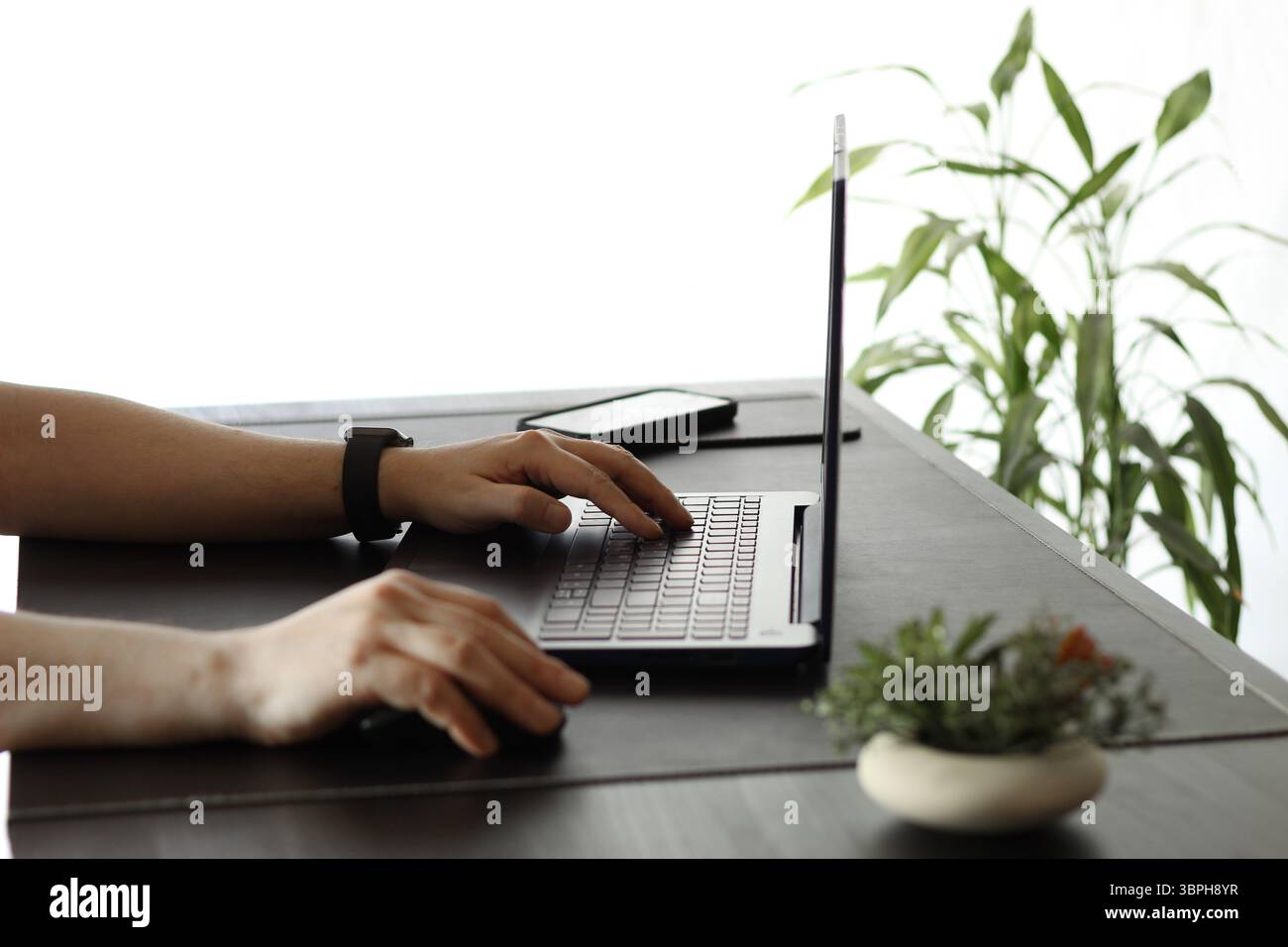 Primo piano della digitazione manuale sulla tastiera del notebook in Modern Workspace Foto Stock