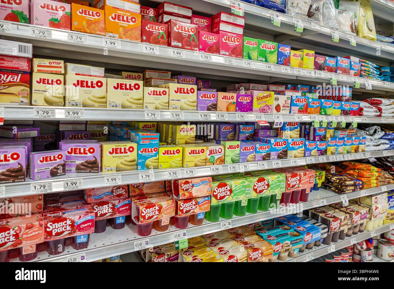 Surfside Florida Miami, supermercato Publix, interno, negozi di cibo, vendita di corridoi, budino di gelatina Jell-o snack Pack Foto Stock