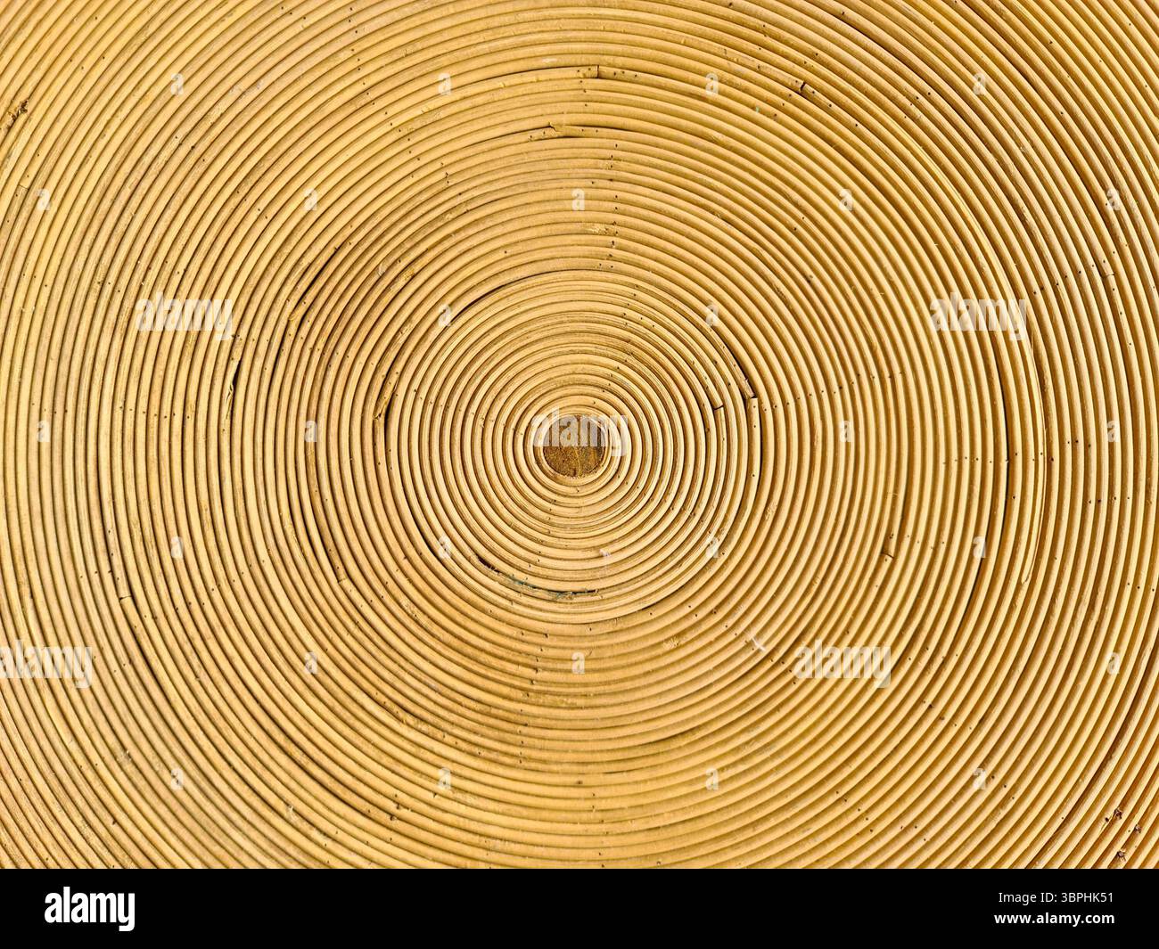 Primo piano di cerchi concentrici che creano uno schema ipnotico sulla superficie del rattan, mostrando bellezza e consistenza naturali Foto Stock