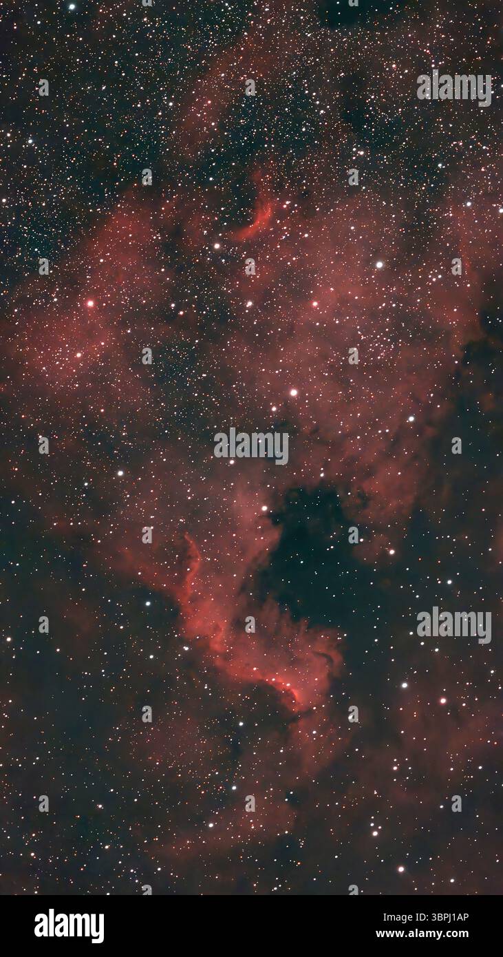 9 luglio 2025. Il cielo notturno limpido sopra Londra rende NGC 7000, la Nebulosa del Nord America (la forma che ricorda il Nord America) facile da fotografare con un piccolo telescopio robotizzato intelligente in questa esposizione di tre ore. La vasta nebulosa delle emissioni, di 100 anni luce, si illumina di rosso con gas idrogeno ed è a 1.700 anni luce dalla Terra. Crediti: Malcolm Park/Alamy Live News Foto Stock