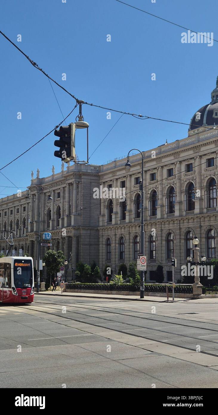 Splendido ambiente della biblioteca di Vienna - Immagine stock catturata con smartphone