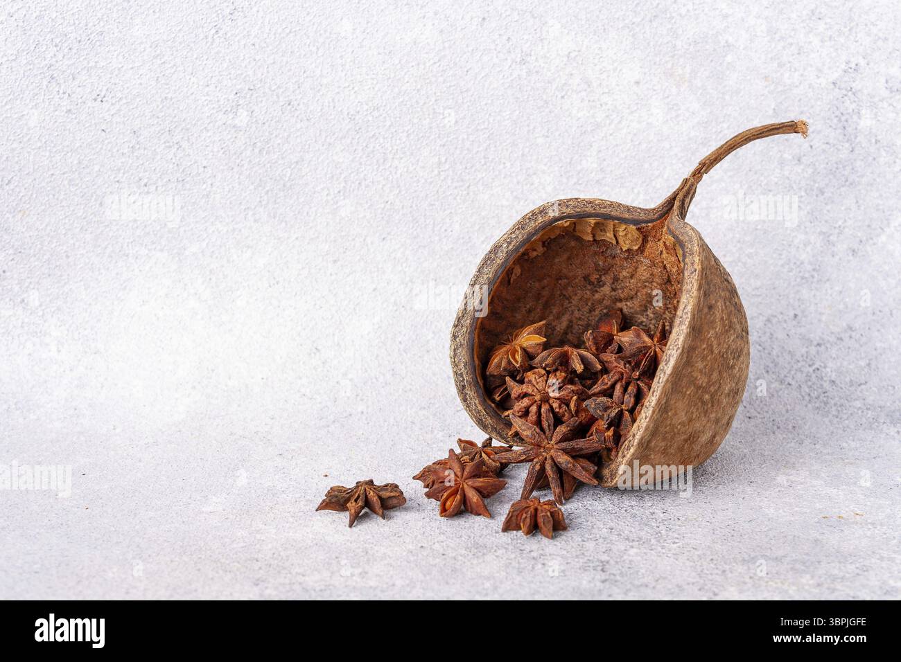 L'anice stellato fuoriesce da bizzarri frutti secchi dell'esotico albero di Buddha, copia spazio Foto Stock