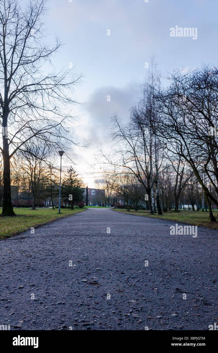 Percorso vuoto del parco fiancheggiato da alberi senza fronzoli durante la scena del tramonto nel tardo inverno. Atmosfera tranquilla e tranquilla, prospettiva diretta, parco urbano Foto Stock