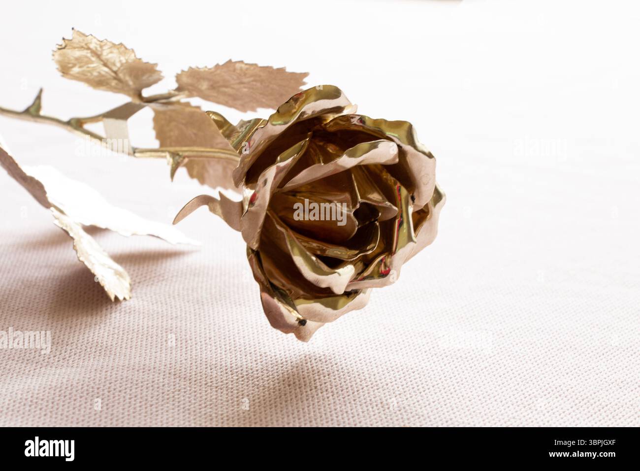 Una rosa dorata giace su un tessuto leggero nel primo piano della luce Foto Stock