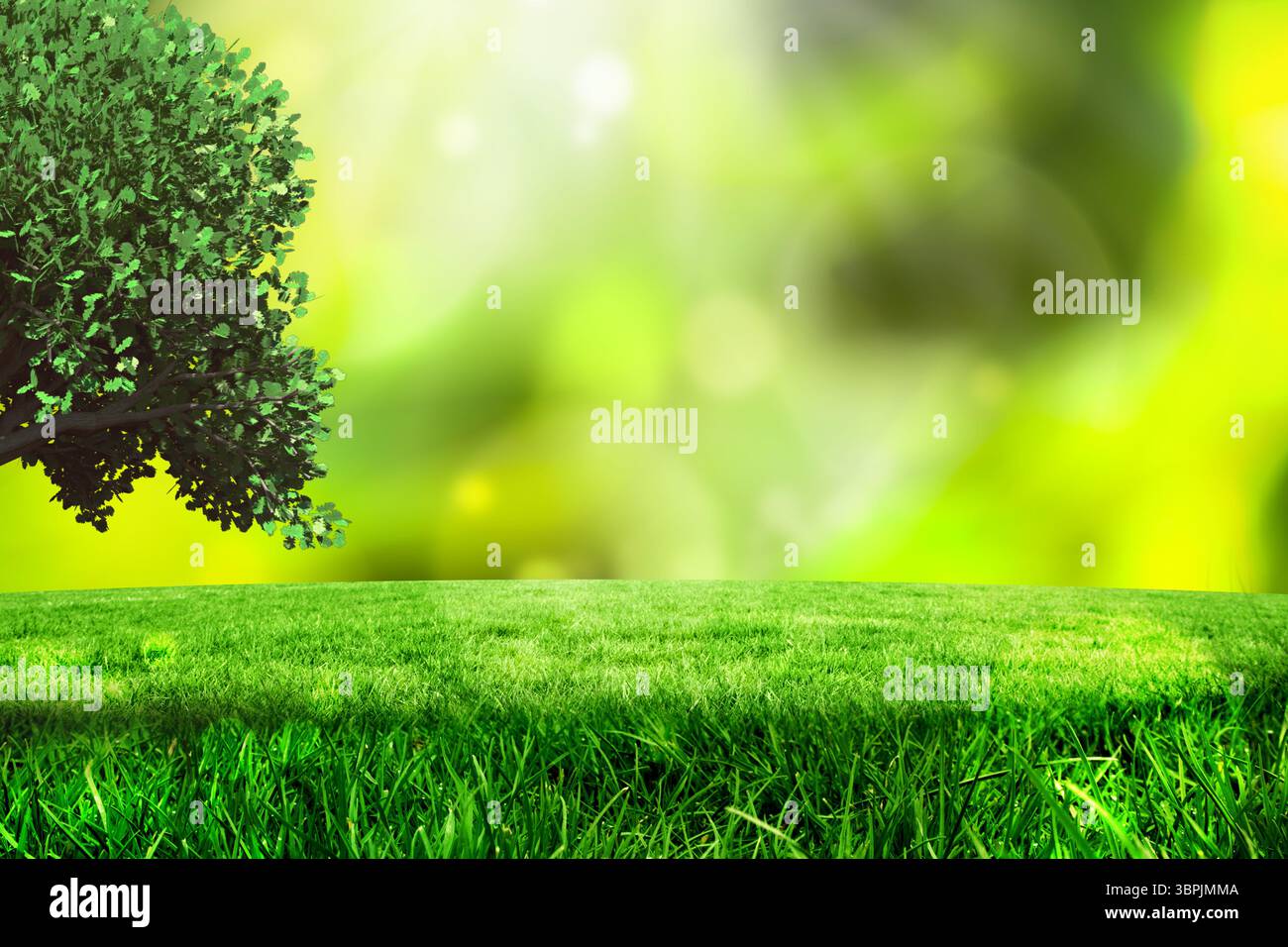 Contro le luci accese Foto Stock