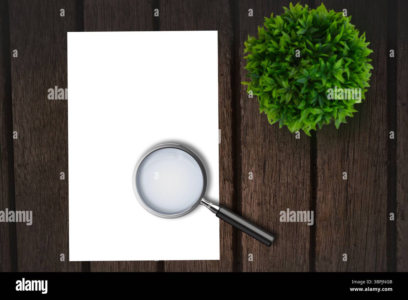 Lente di ingrandimento su carta Foto Stock