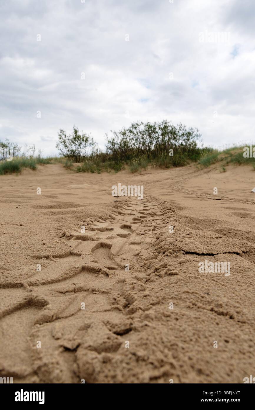 tracce di pneumatici nella sabbia che portano a cespugli e vegetazione su una duna di sabbia sotto un cielo nuvoloso. Foto Stock
