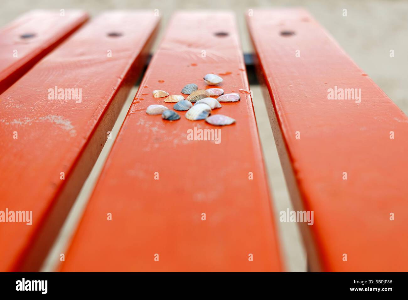 Varie piccole collezioni di conchiglie e ciottoli sono sparse su una panchina di legno arancione sulla spiaggia. Foto Stock