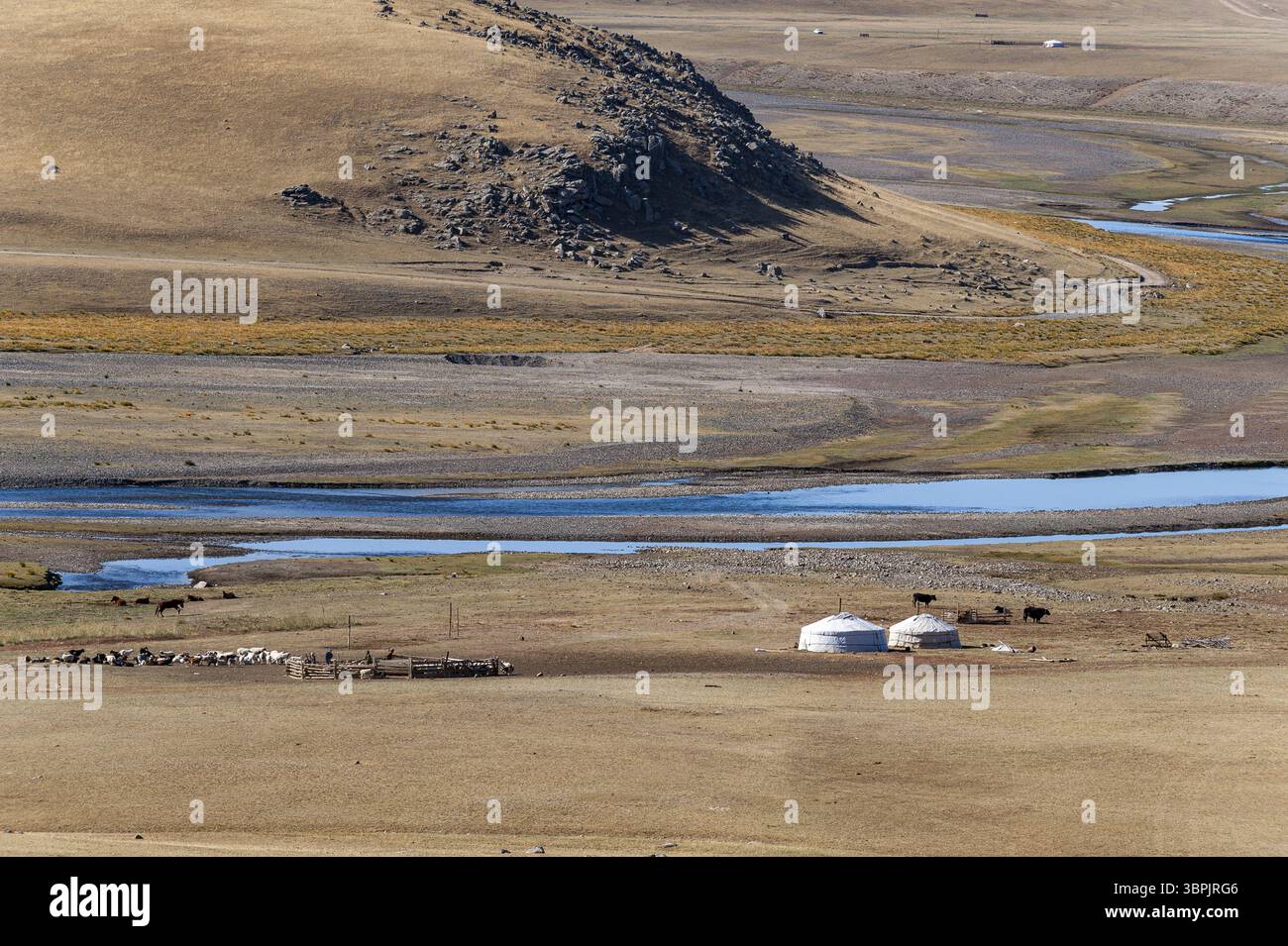 Un campo di yurt di nomadi mongoli in un'ansa del fiume nella steppa della Mongolia, Asia centrale Foto Stock