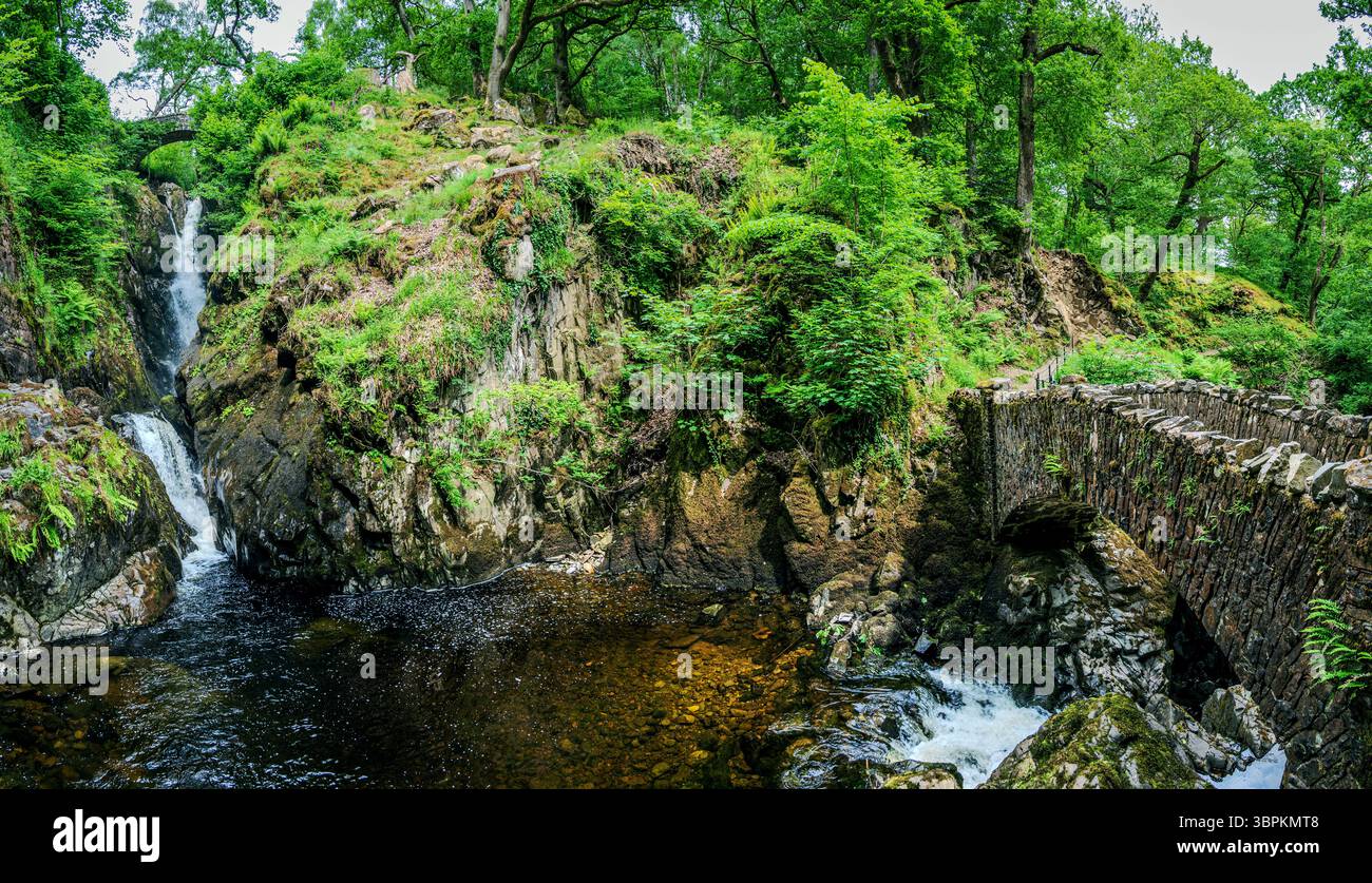 Un'ampia vista panoramica della cascata Aira Force cattura i suoi pendii rocciosi e la vegetazione lussureggiante circostante, mostrando l'aspra bellezza naturale Foto Stock