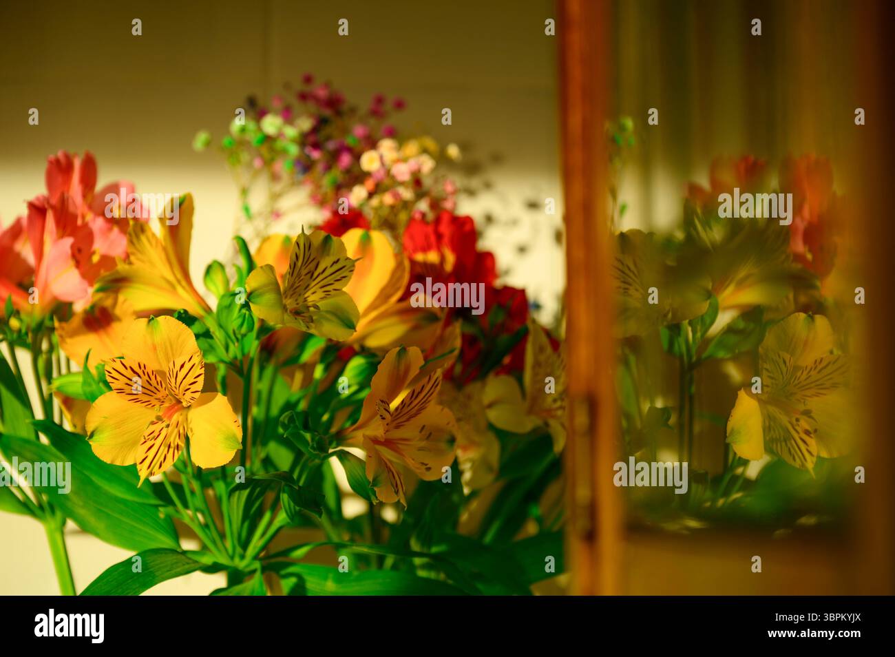 Un bouquet di fiori gialli, rosa e rossi, tra cui l'alstroemeria, riempie un vaso. La luce del sole illumina i petali, proiettando ombre morbide durante l'ottimizzazione Foto Stock